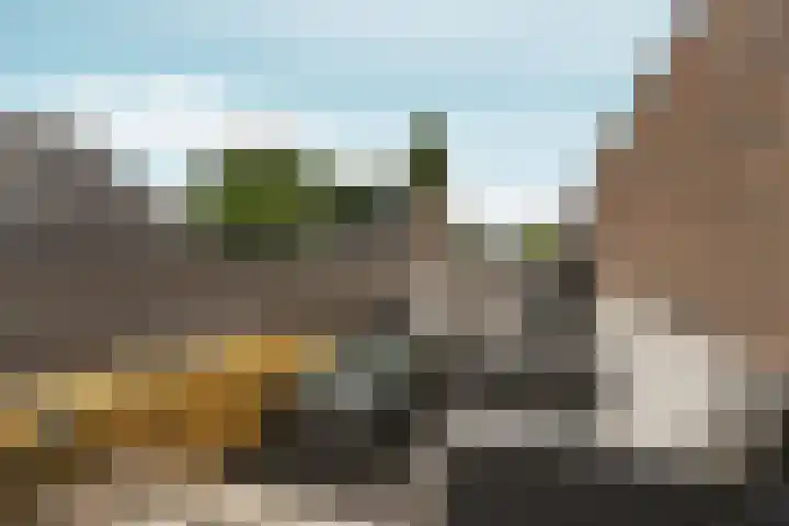 Vingerhoed 11 Dieren thumbnail 44