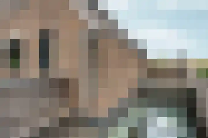 Vingerhoed 11 Dieren thumbnail 45