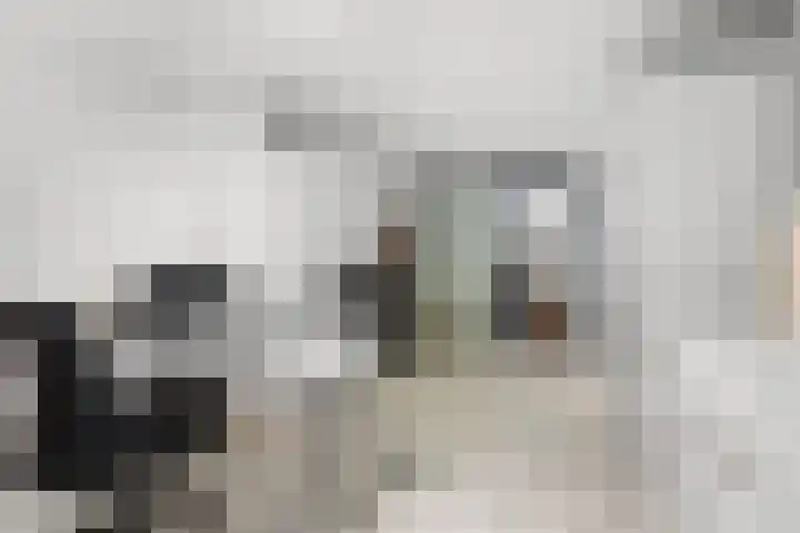Vingerhoed 11 Dieren thumbnail 64