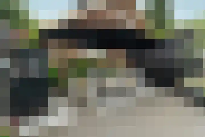 Vingerhoed 11 Dieren thumbnail 68