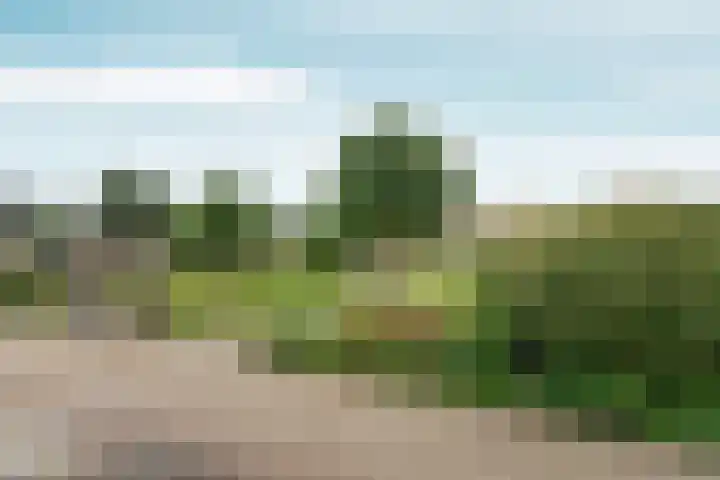 Vingerhoed 11 Dieren thumbnail 72