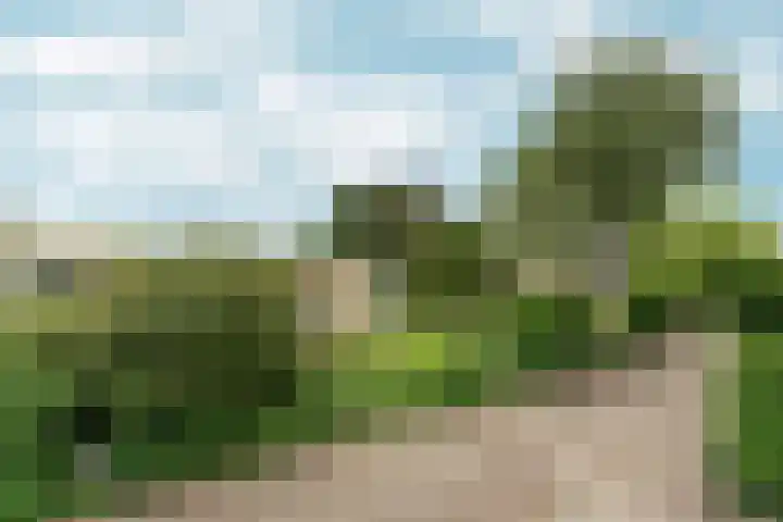 Vingerhoed 11 Dieren thumbnail 73