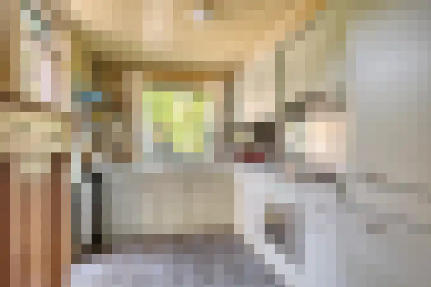 Vingerhoed 31 Breda thumbnail 10