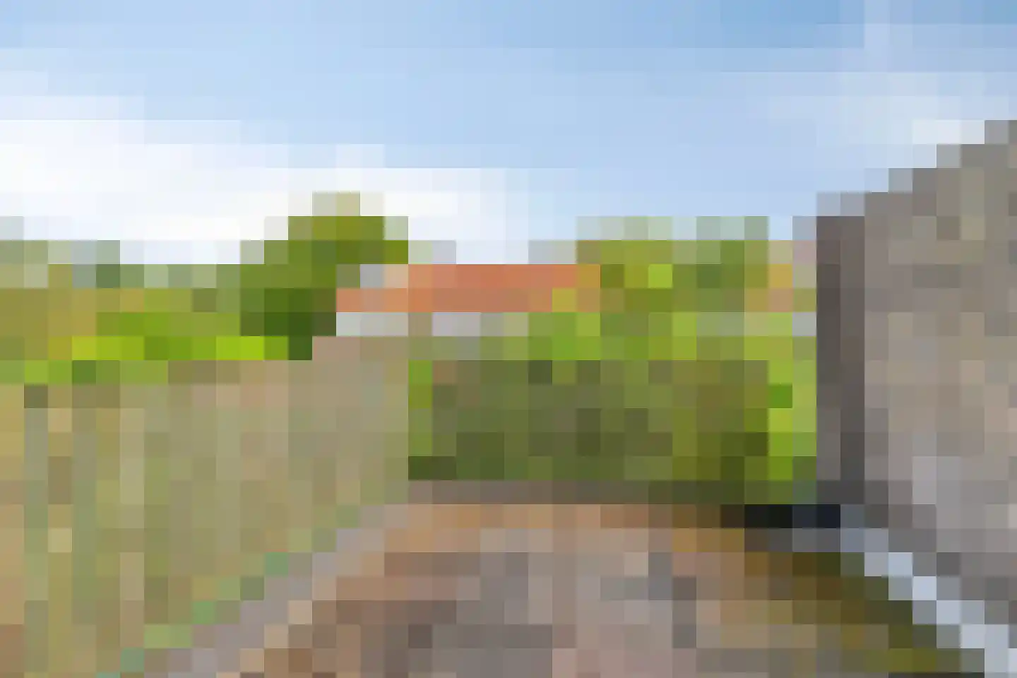 Vingerhoed 31 Breda thumbnail 18