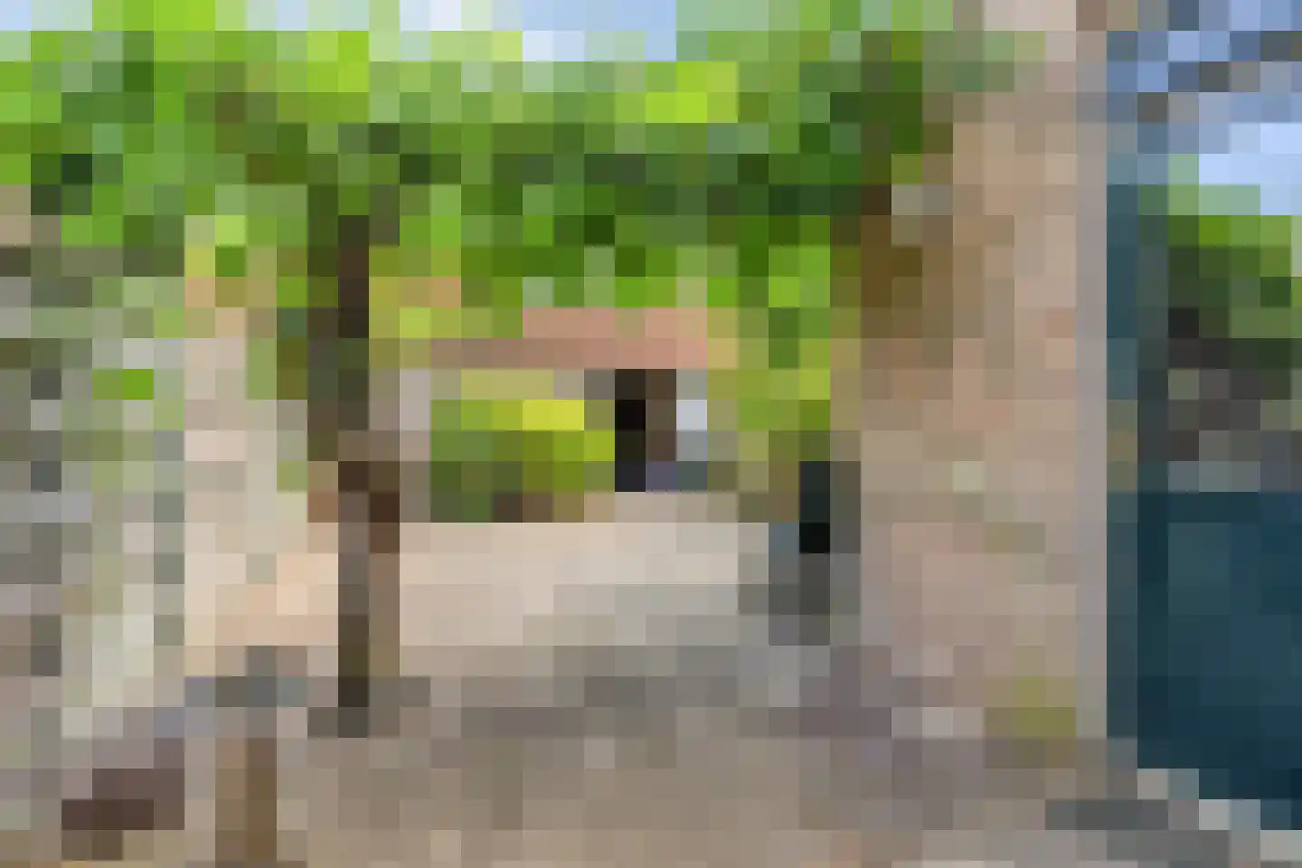 Vingerhoed 31 Breda thumbnail 26