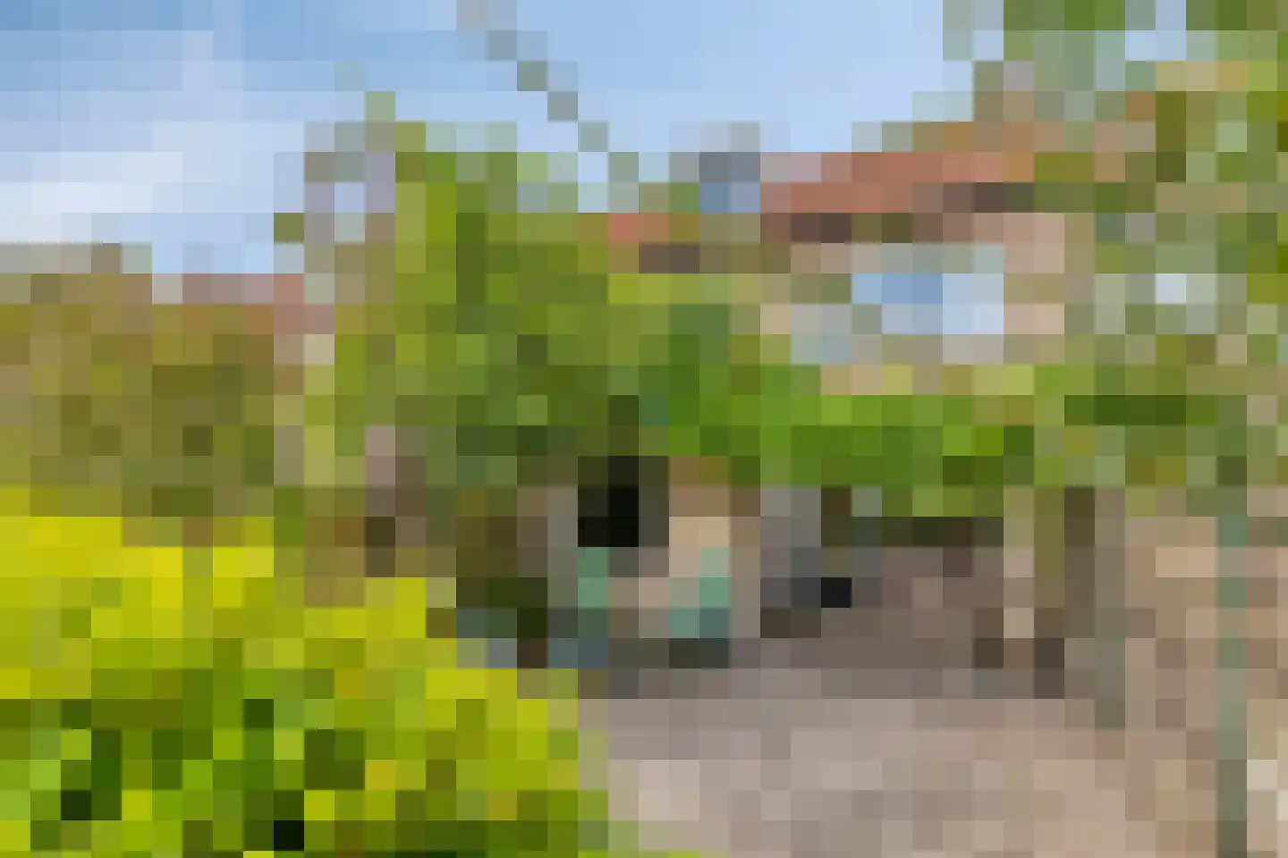 Vingerhoed 31 Breda thumbnail 29