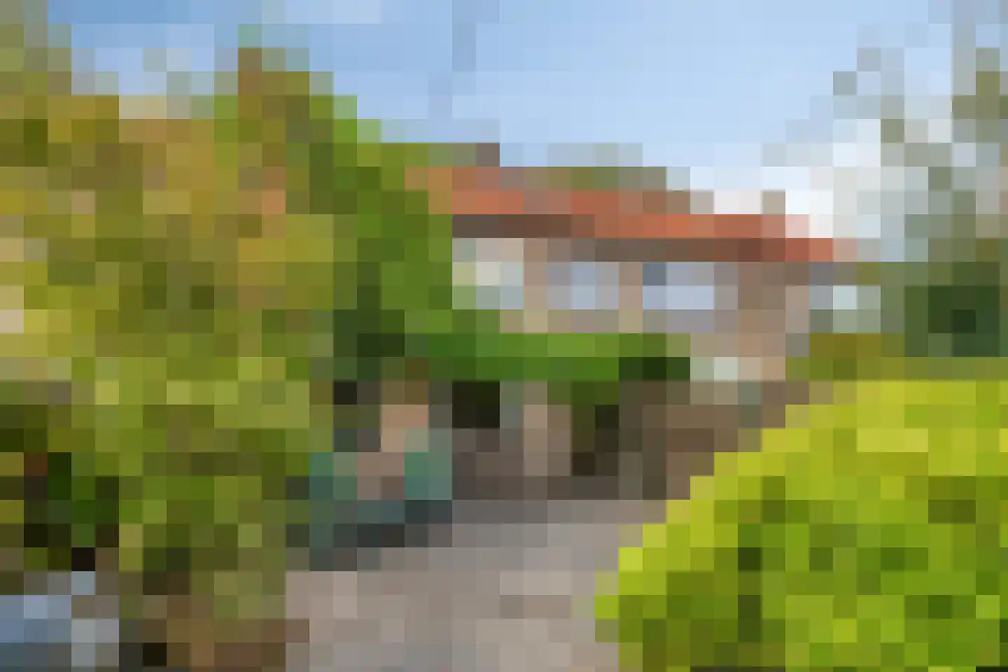 Vingerhoed 31 Breda thumbnail 33