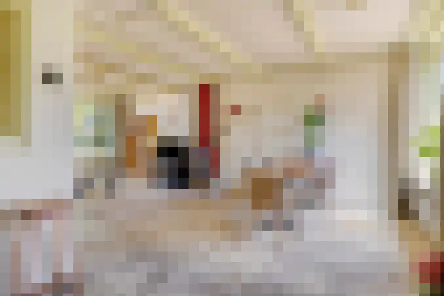 Vingerhoed 31 Breda thumbnail 8