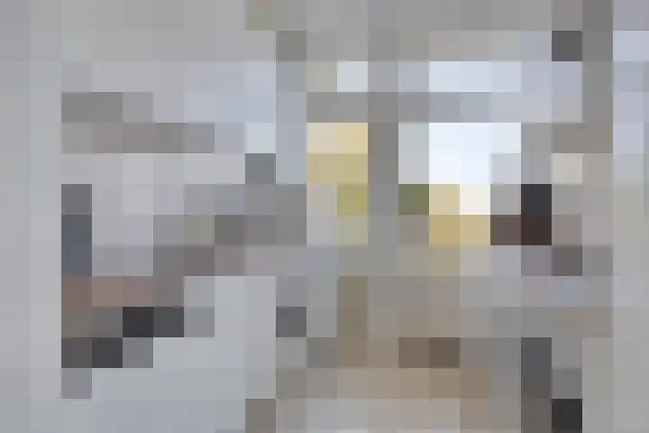 Vingerhoed 32 C Breda thumbnail 13