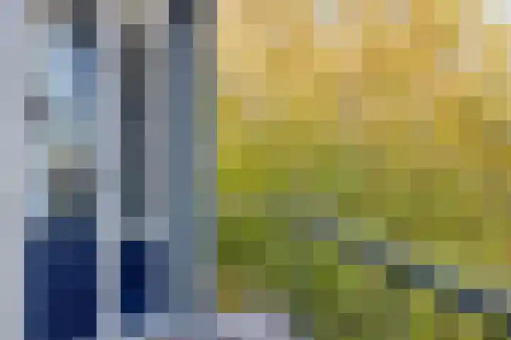 Vingerhoed 32 C Breda thumbnail 22