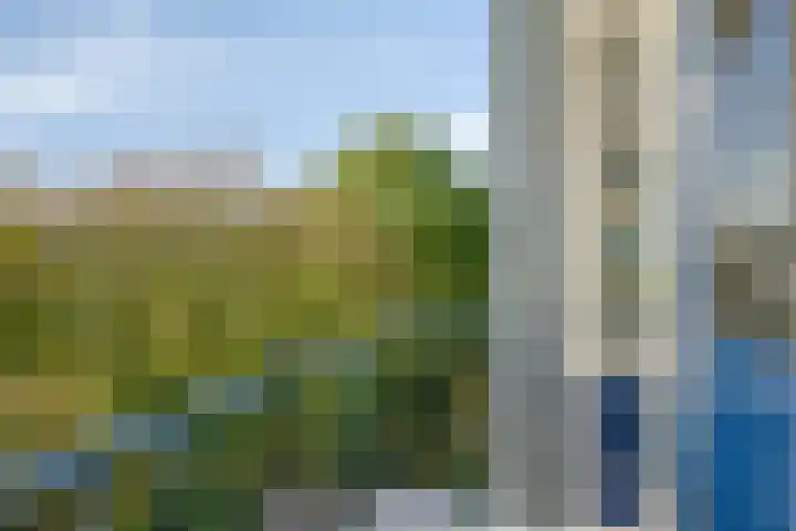 Vingerhoed 32 C Breda thumbnail 23
