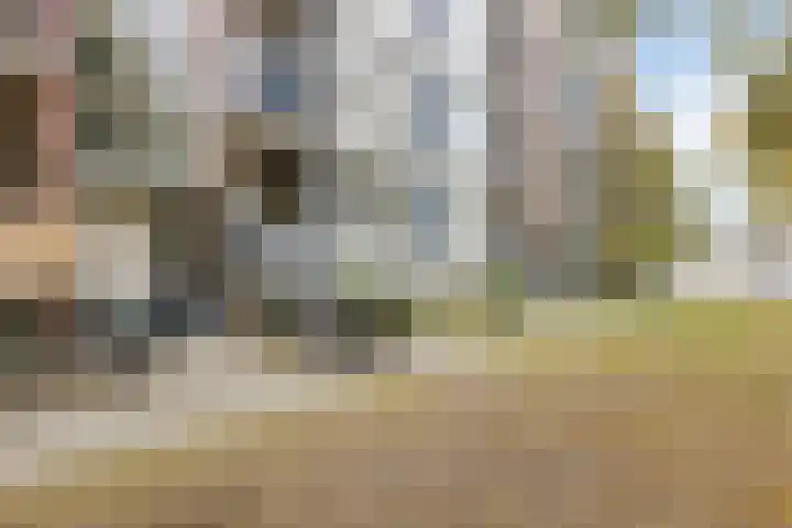 Vingerhoed 32 C Breda thumbnail 24
