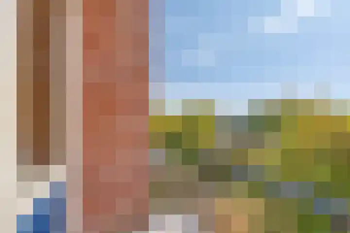 Vingerhoed 32 C Breda thumbnail 6