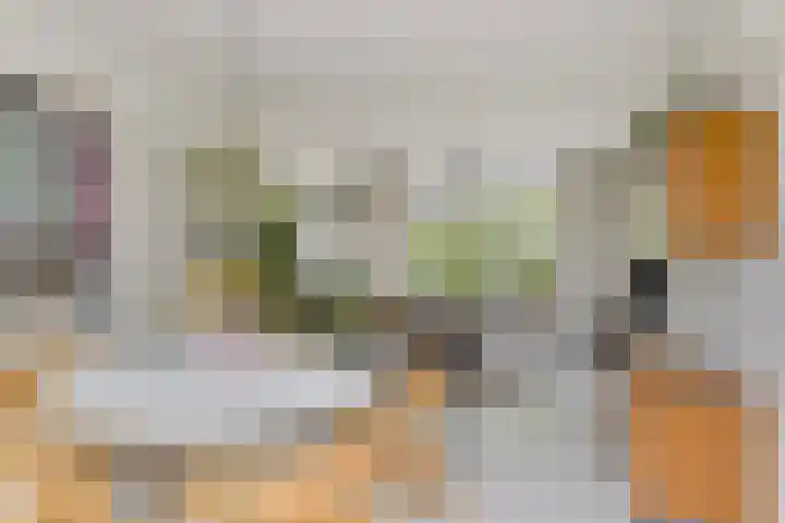 Vingerhoed 52 Breda thumbnail 10