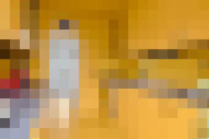 Vingerhoed 52 Breda thumbnail 12