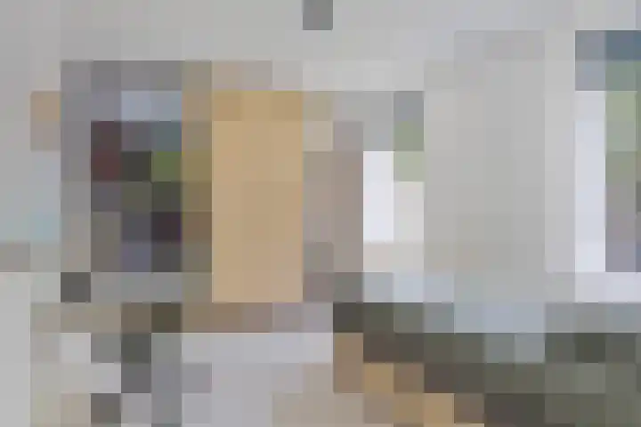 Vingerhoed 52 Breda thumbnail 19