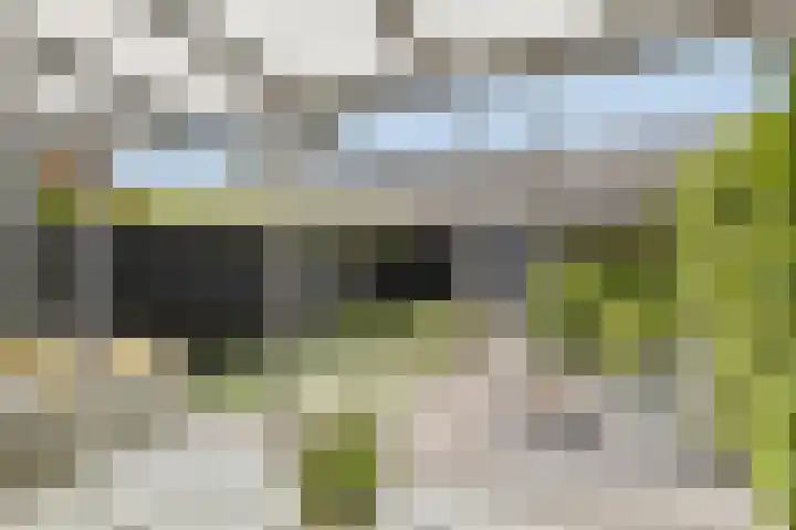 Vingerhoed 52 Breda thumbnail 25
