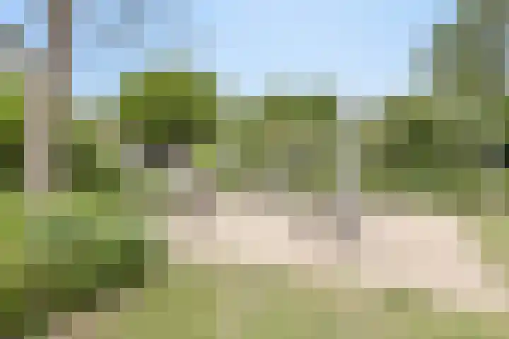Vingerhoed 52 Breda thumbnail 28