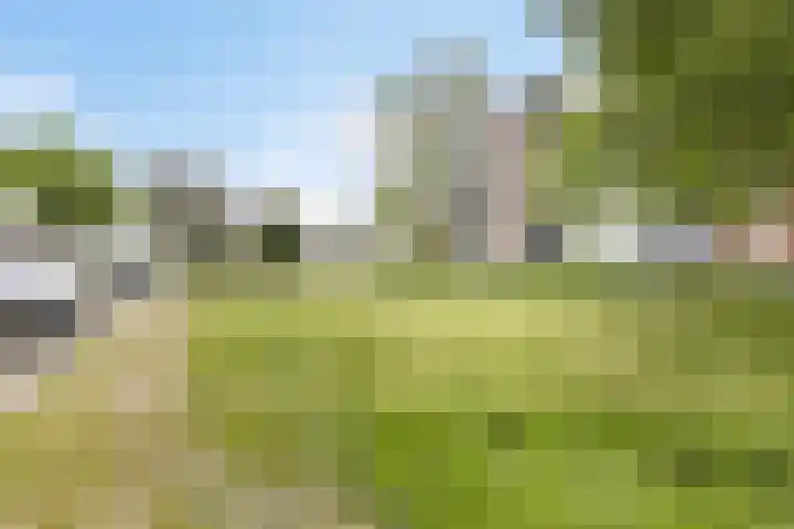 Vingerhoed 52 Breda thumbnail 29