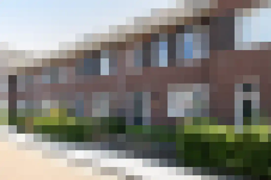 Vingerhoedskruid 10 Vroomshoop