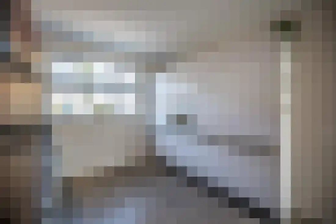 Vingerhoedskruid 10 Vroomshoop thumbnail 14