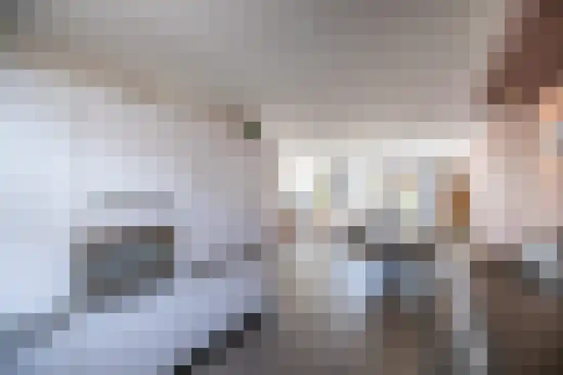 Vingerhoedskruid 10 Vroomshoop thumbnail 15
