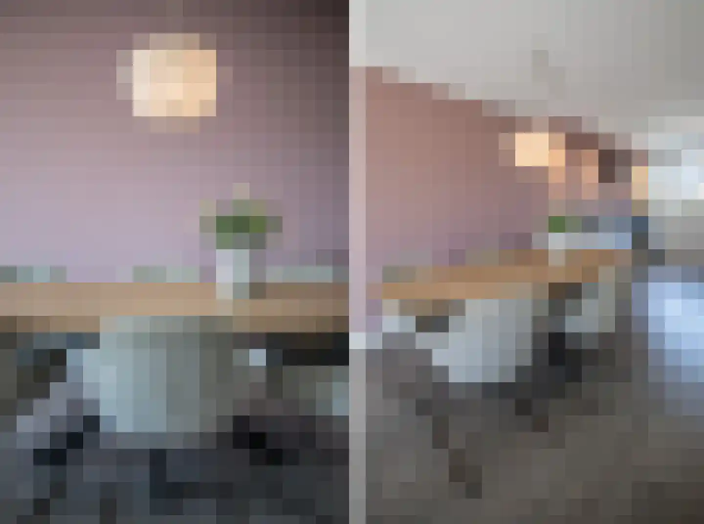 Vingerhoedskruid 10 Vroomshoop thumbnail 17