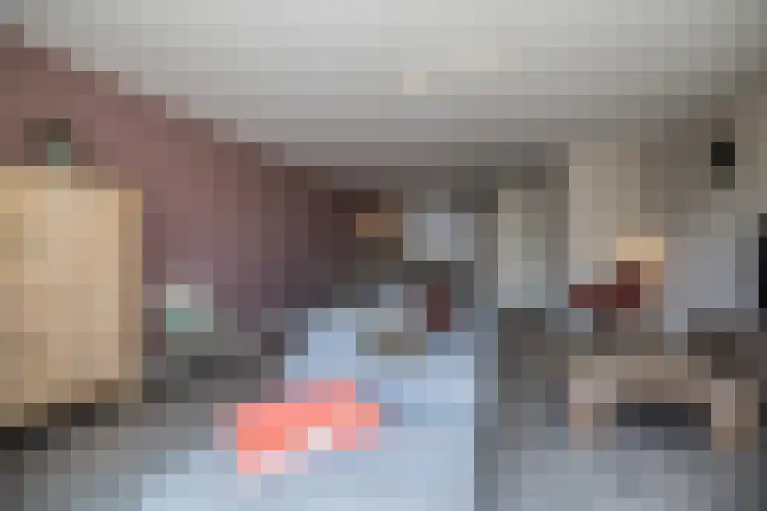 Vingerhoedskruid 10 Vroomshoop thumbnail 19
