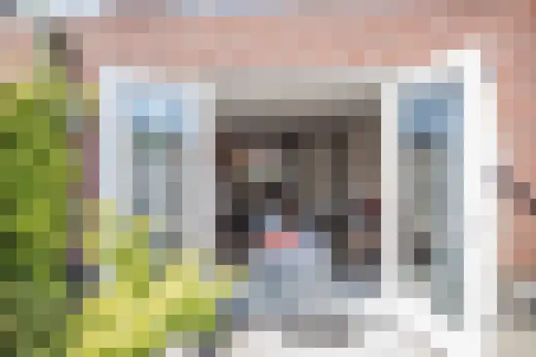 Vingerhoedskruid 10 Vroomshoop thumbnail 20