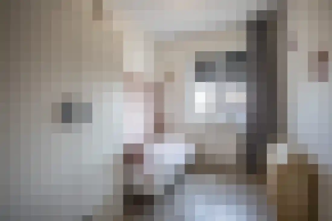 Vingerhoedskruid 10 Vroomshoop thumbnail 28