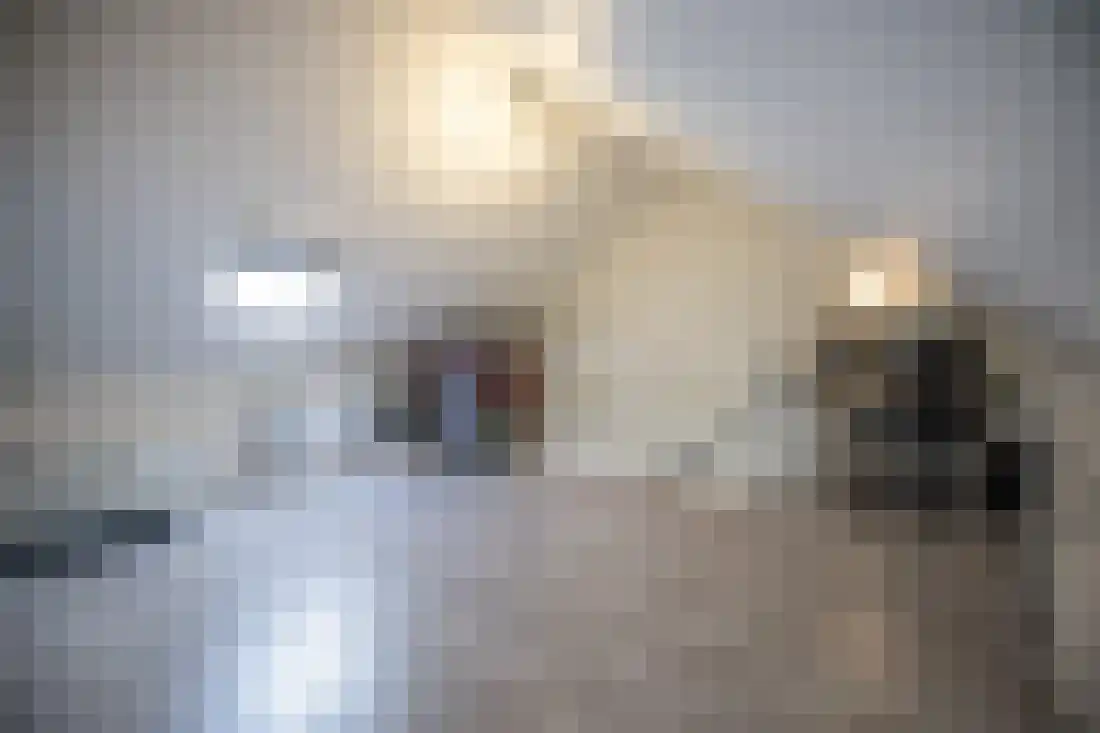Vingerhoedskruid 10 Vroomshoop thumbnail 33