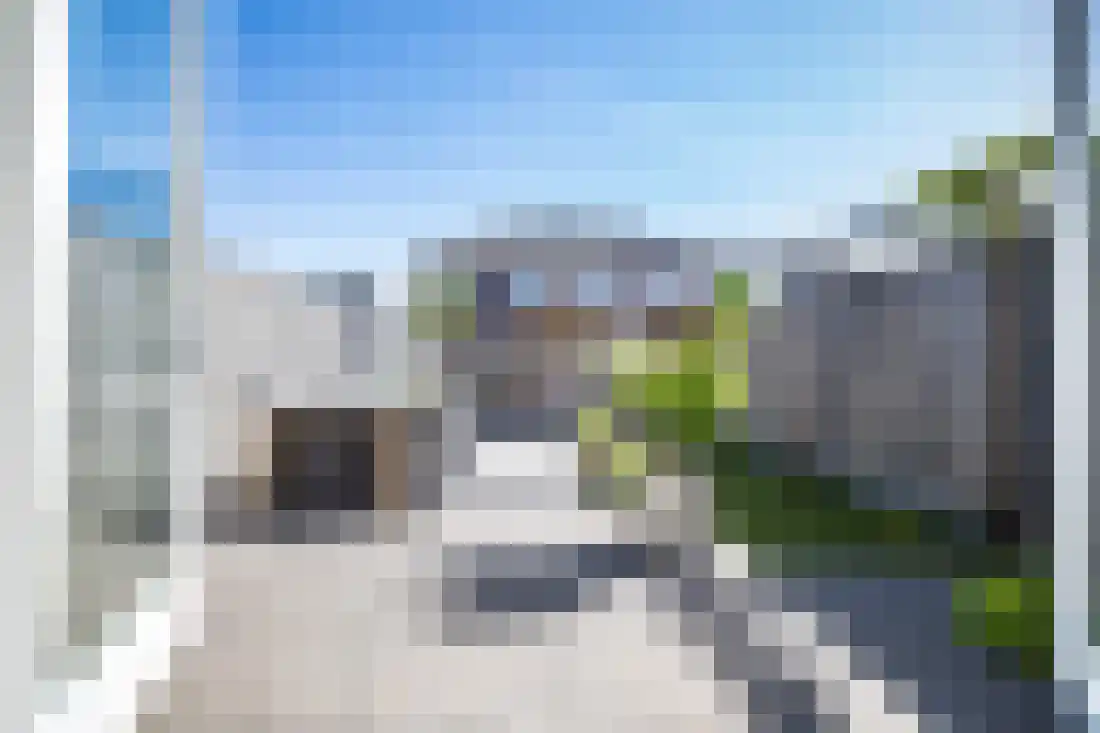 Vingerhoedskruid 10 Vroomshoop thumbnail 35