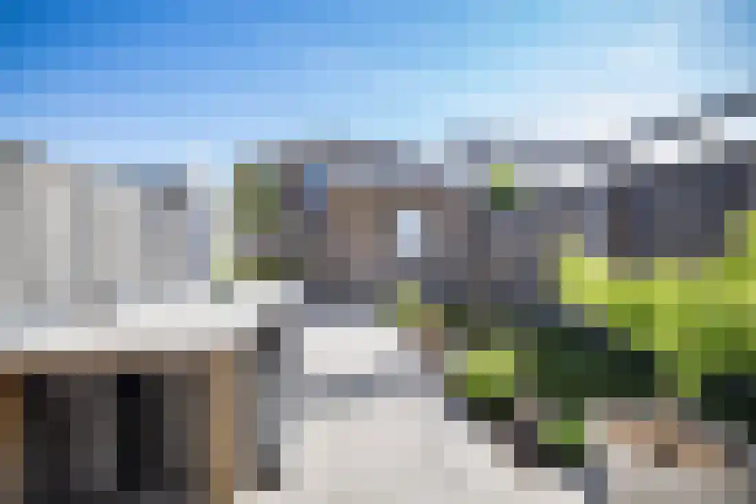 Vingerhoedskruid 10 Vroomshoop thumbnail 37