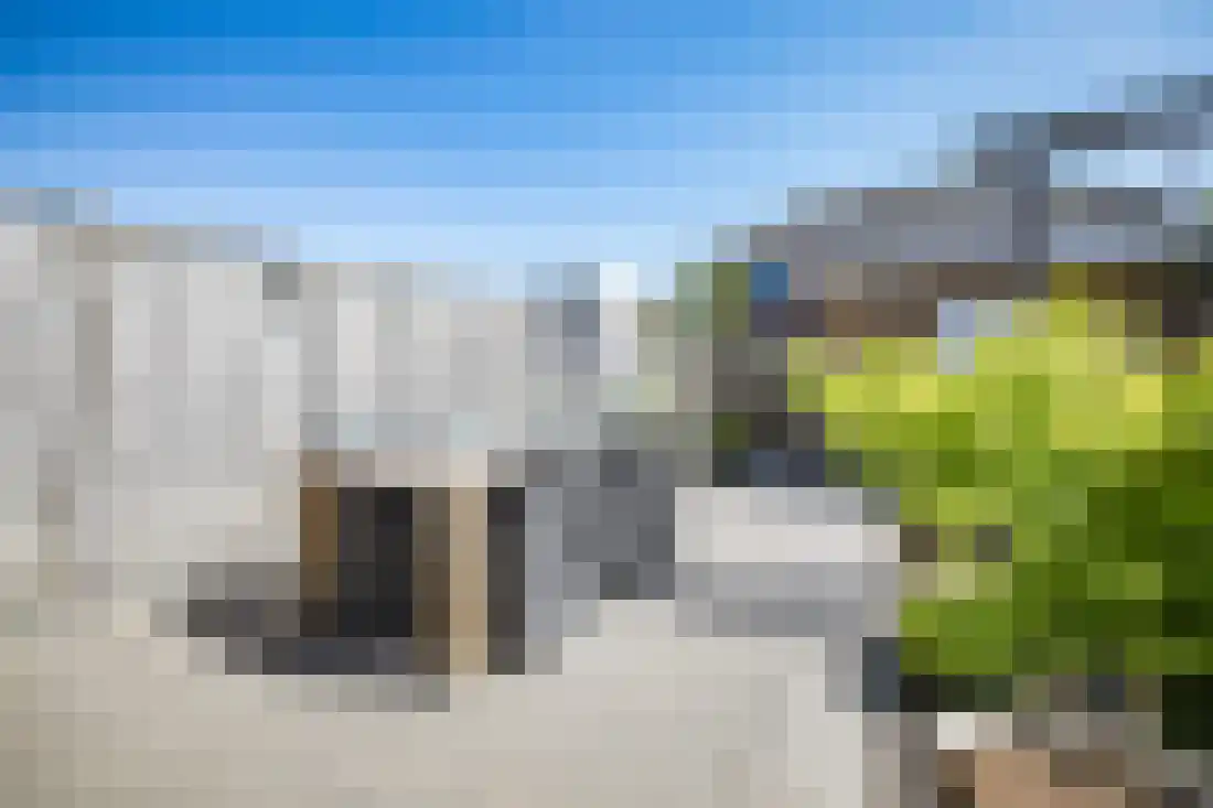Vingerhoedskruid 10 Vroomshoop thumbnail 38
