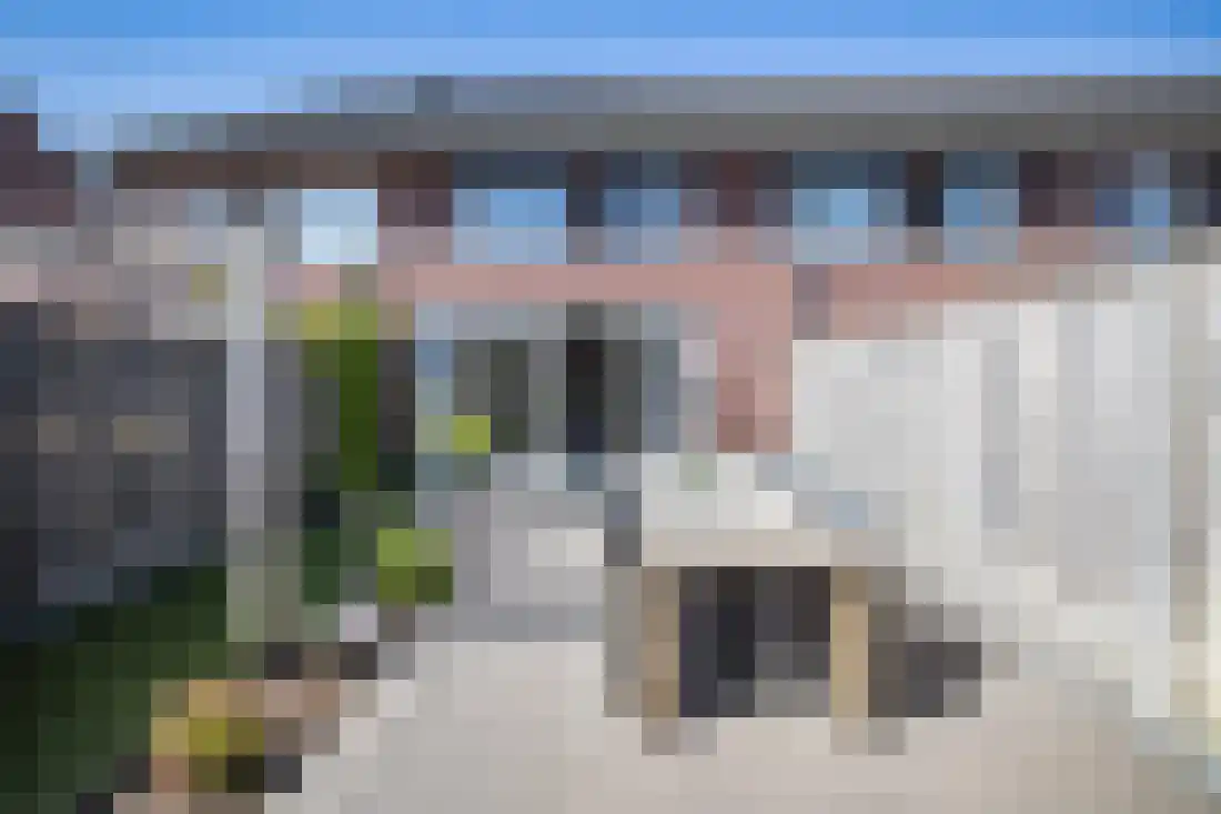 Vingerhoedskruid 10 Vroomshoop thumbnail 39