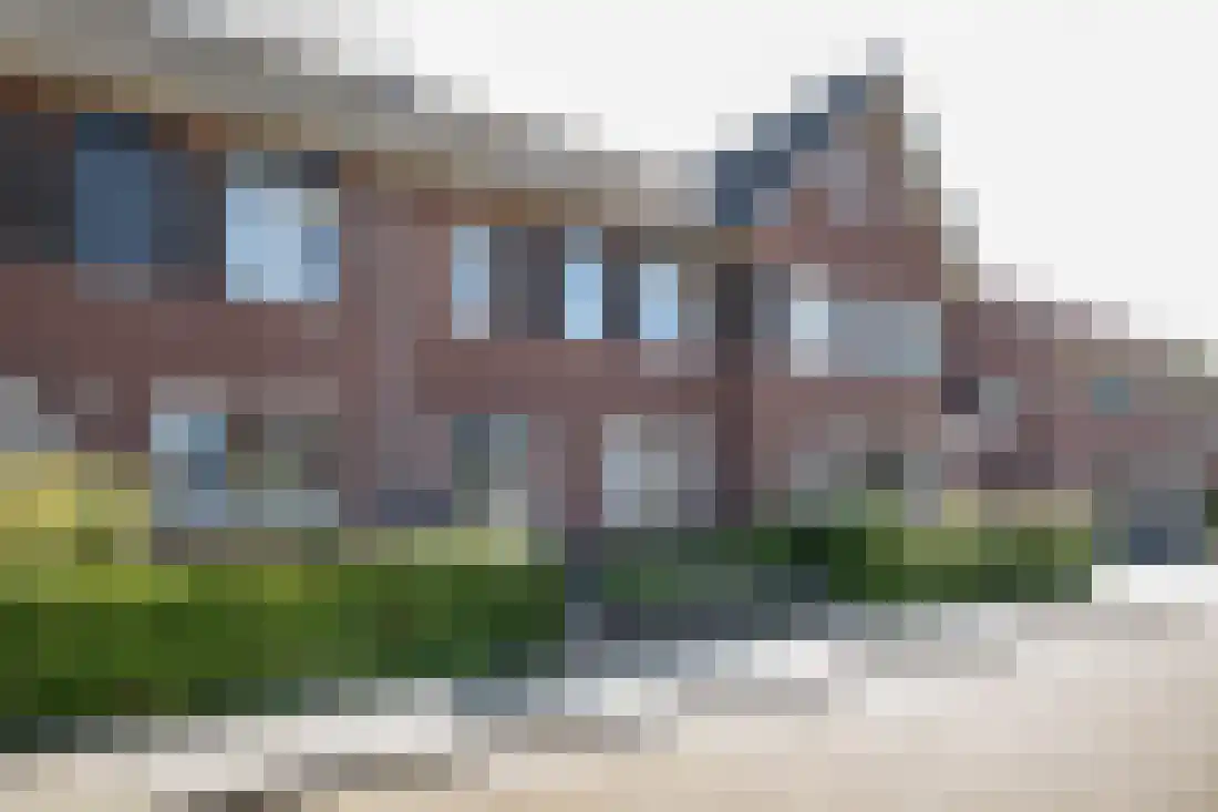 Vingerhoedskruid 10 Vroomshoop thumbnail 5