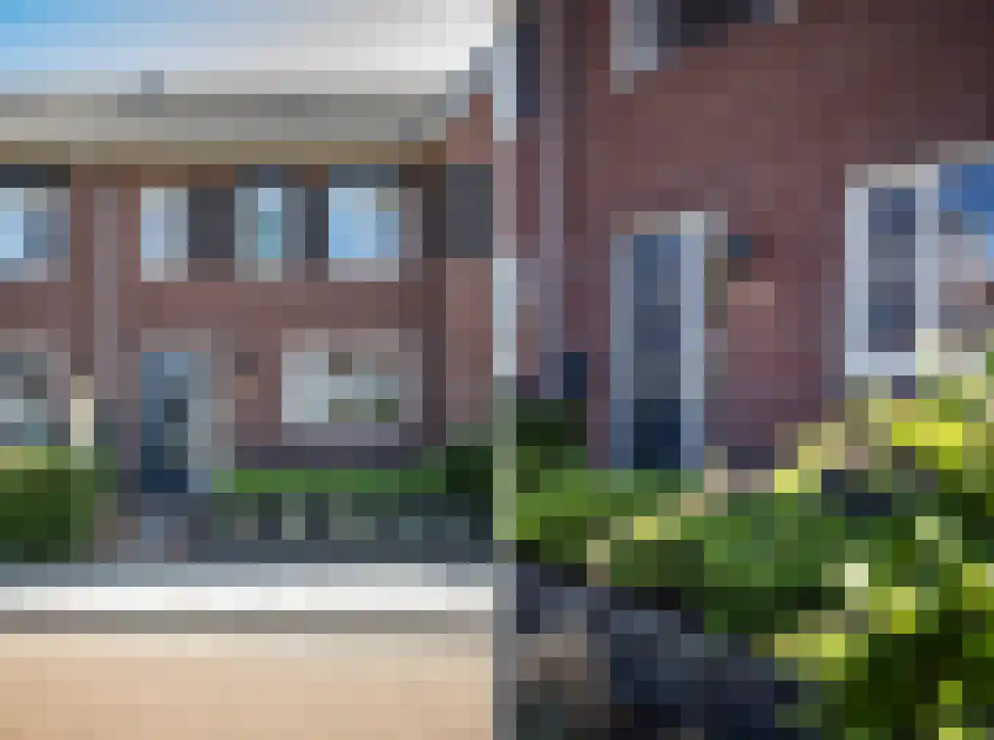 Vingerhoedskruid 10 Vroomshoop thumbnail 6