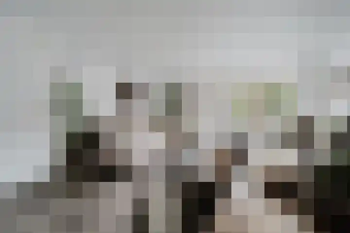 Vingerhoedskruid 14 Hoogvliet Rotterdam thumbnail 12