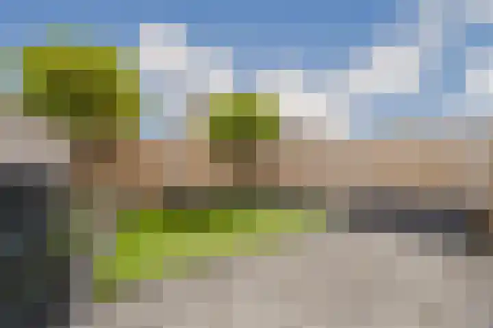 Vingerhoedskruid 14 Hoogvliet Rotterdam thumbnail 14