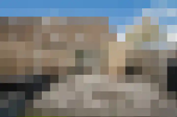 Vingerhoedskruid 14 Hoogvliet Rotterdam thumbnail 15
