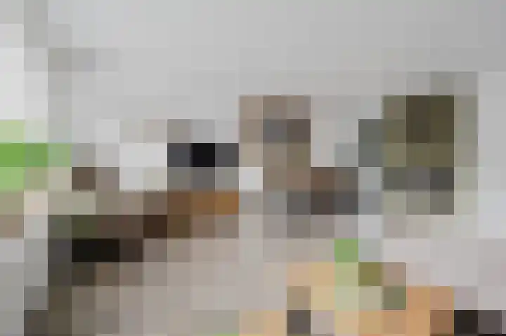 Vingerhoedskruid 14 Hoogvliet Rotterdam thumbnail 17