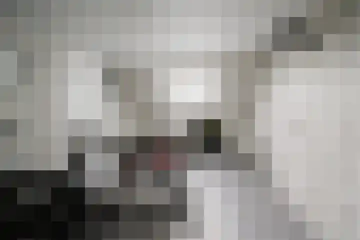 Vingerhoedskruid 14 Hoogvliet Rotterdam thumbnail 30