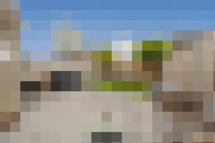 Vingerhoedskruid 14 Hoogvliet Rotterdam thumbnail 5