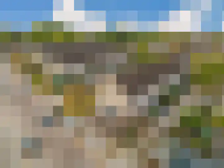 Vingerhoedskruid 14 Hoogvliet Rotterdam thumbnail 6