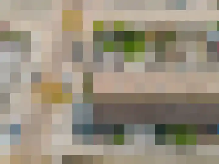 Vingerhoedskruid 14 Hoogvliet Rotterdam thumbnail 7