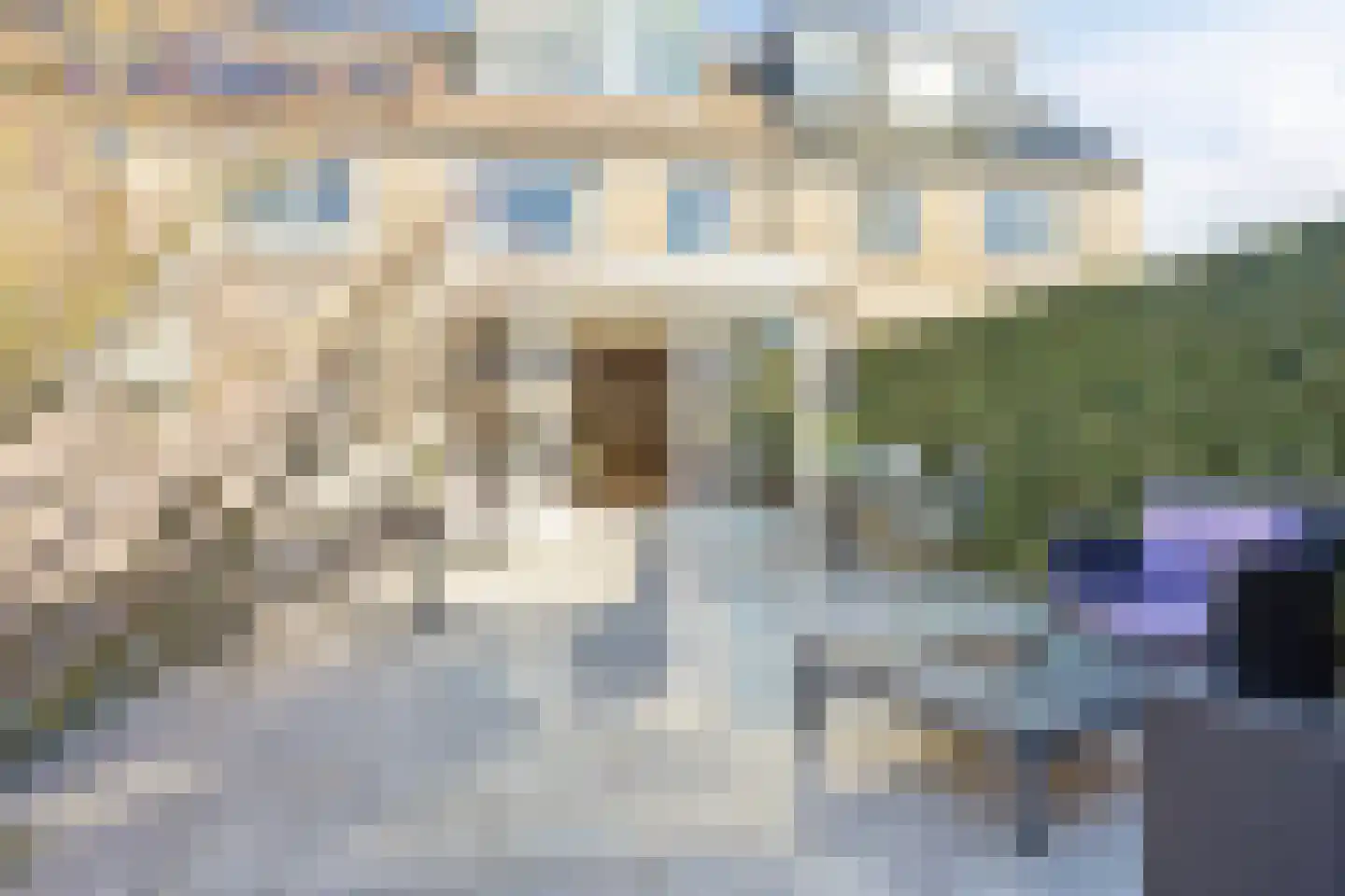 Vingerhoedskruid 23 Vlaardingen thumbnail 10