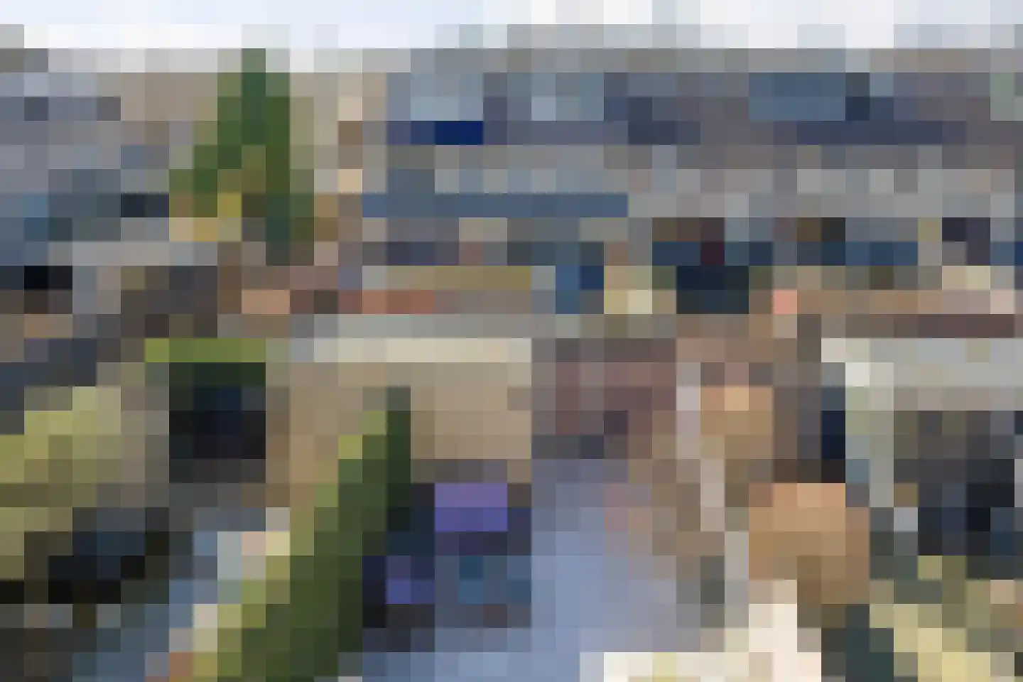 Vingerhoedskruid 23 Vlaardingen thumbnail 20