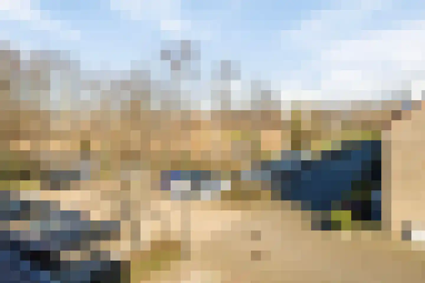 Vingerhoedskruid 23 Vlaardingen thumbnail 21