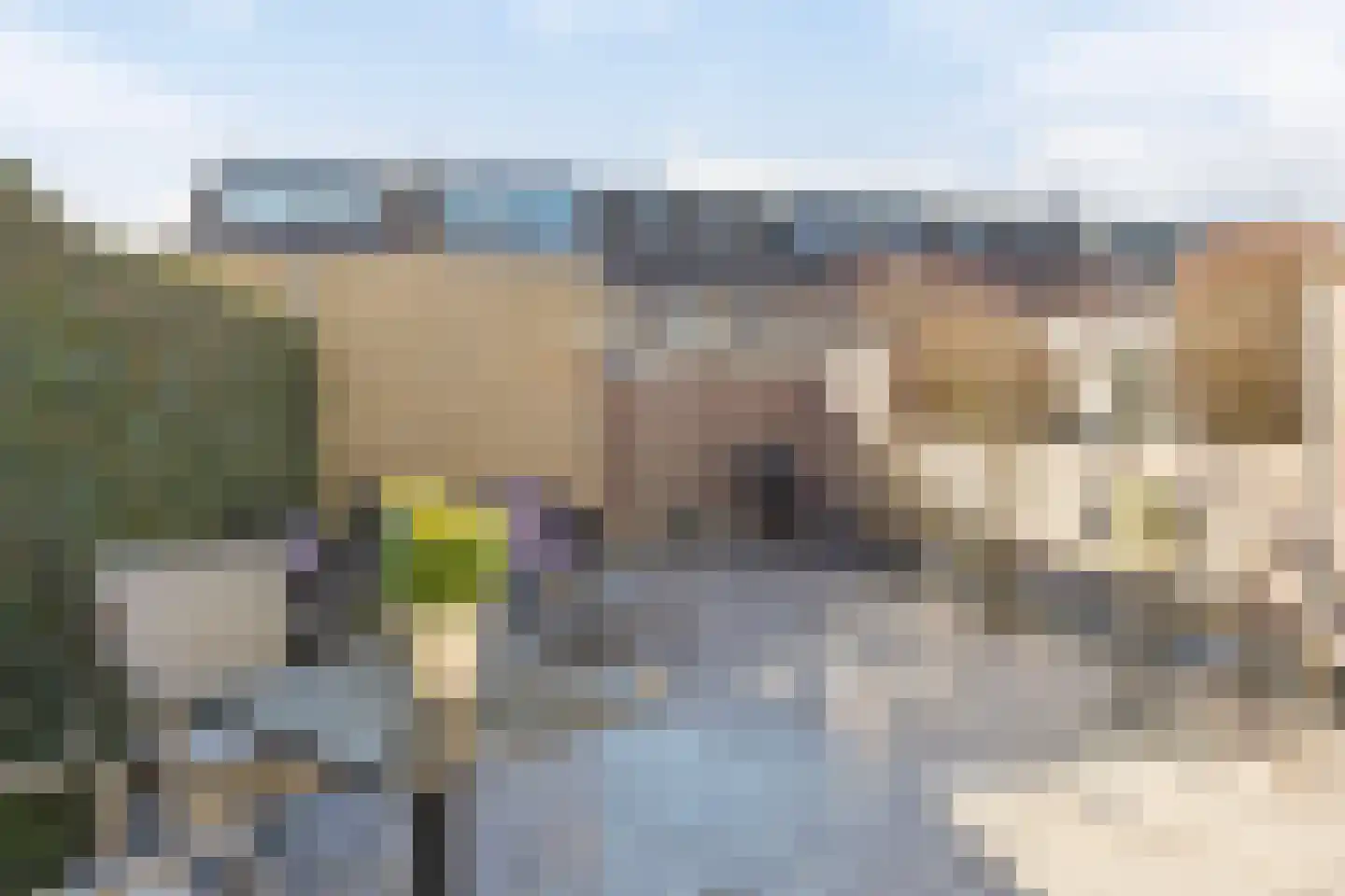 Vingerhoedskruid 23 Vlaardingen thumbnail 22