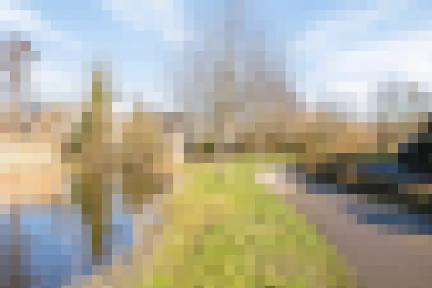 Vingerhoedskruid 23 Vlaardingen thumbnail 27